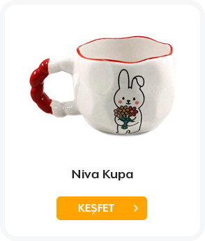 NİVA KUPA