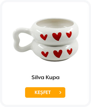 SİLVA KUPA