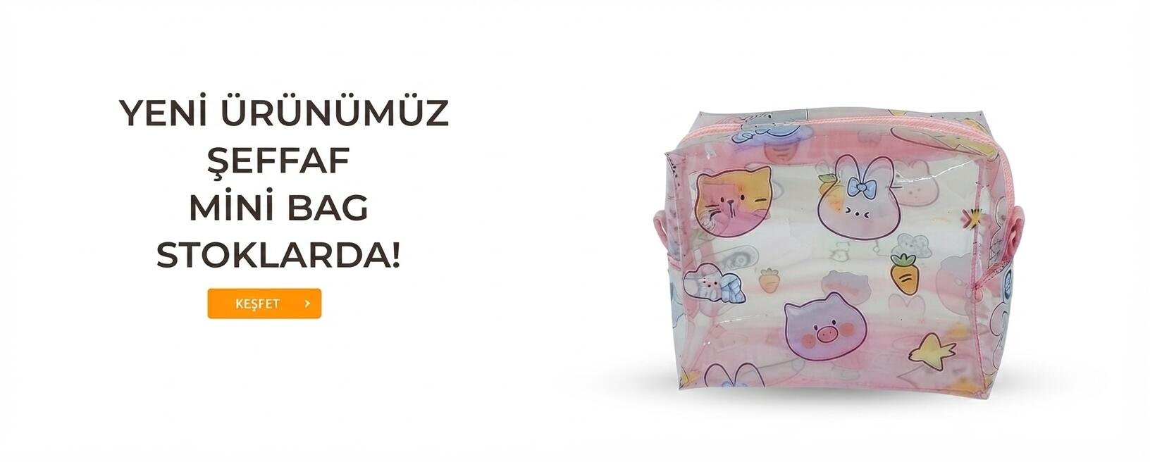 ŞEFFAF MİNİ BAG