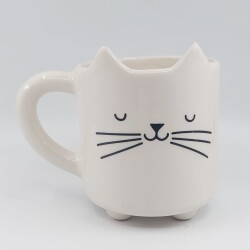 BIYIK KEDİ-KEDİ KUPA - TRANSPARAN SAP - 