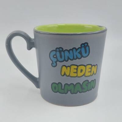 ÇÜNKÜ NEDEN OLMASIN-İDA KUPA - GRİ SAP GRİ GÖZDE YEŞİL İÇ - 1