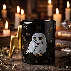 HARRY POTTER BAYKUŞ-KAZAN KUPA - ŞİMŞEK SAP - 