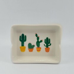 KAKTÜSLER-DİKDÖRTGEN KÜLLÜK - TRANSPARAN GÖVDE - 