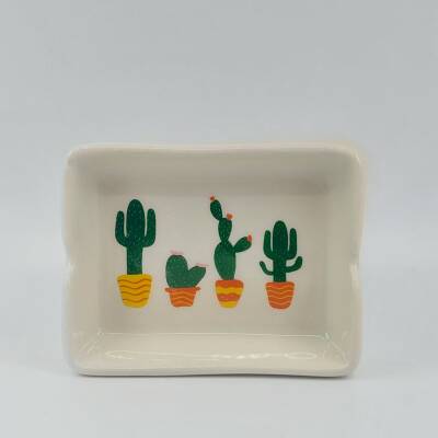 KAKTÜSLER-DİKDÖRTGEN KÜLLÜK - TRANSPARAN GÖVDE - 1