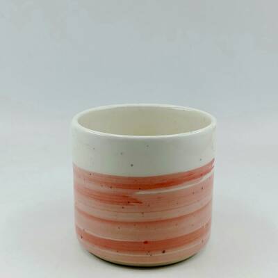 PEMBE FIRÇA DARBESİ - 3D-ORBİS KUPA - 3D - 1