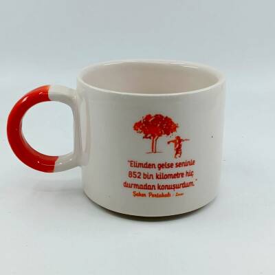 ŞEKER PORTAKALI - D KUPA - TURUNCU SAP - 1