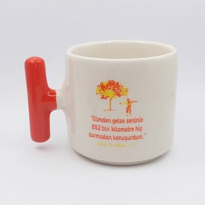 ŞEKER PORTAKALI - T KUPA - TURUNCU SAP - 1