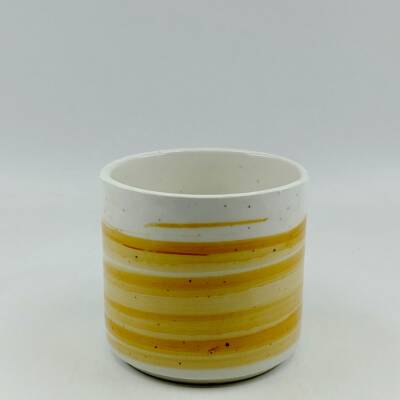 TURUNCU FIRÇA DARBESİ - 3D-ORBİS KUPA - 3D - 1